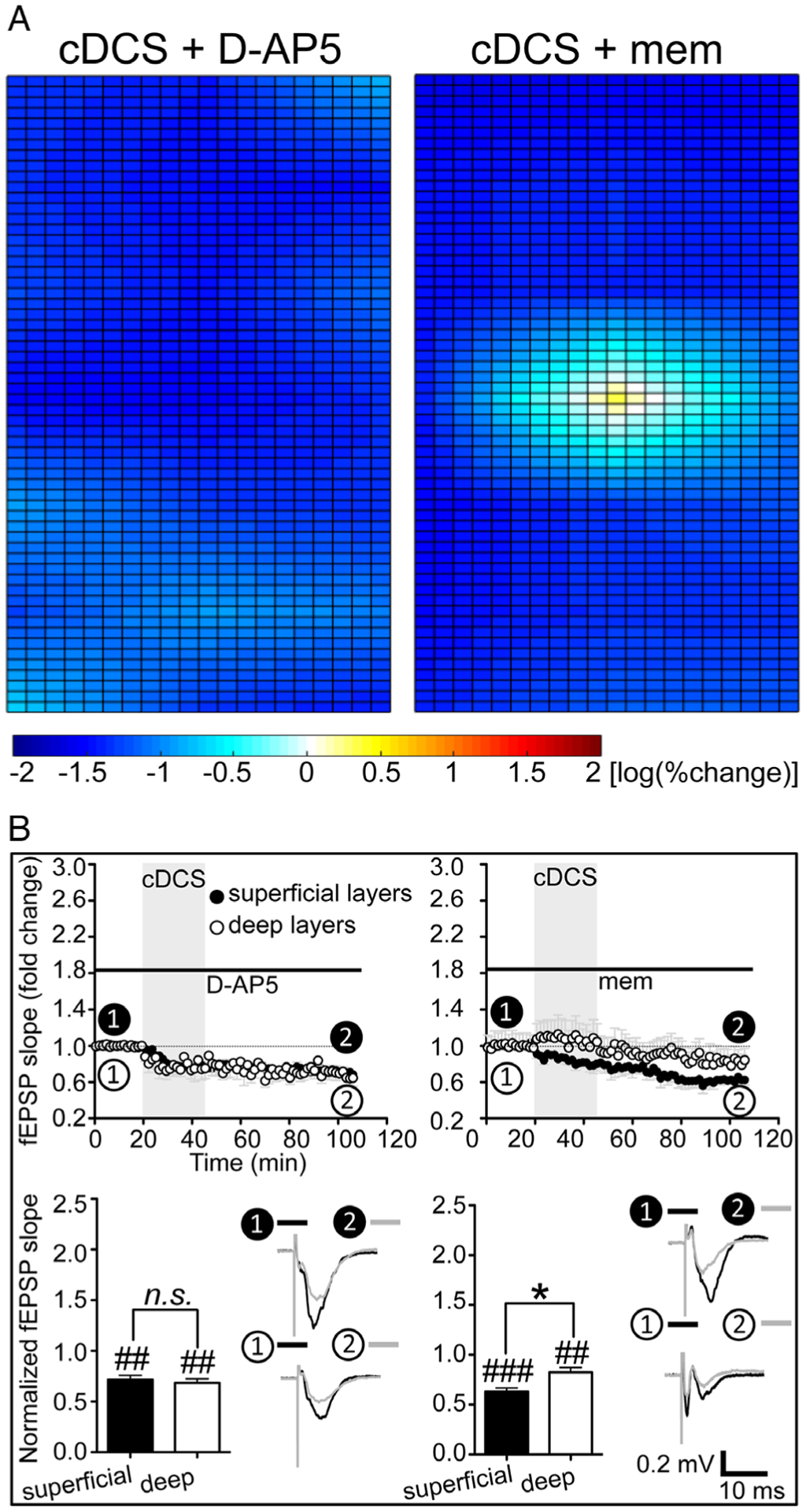 FIGURE 4: