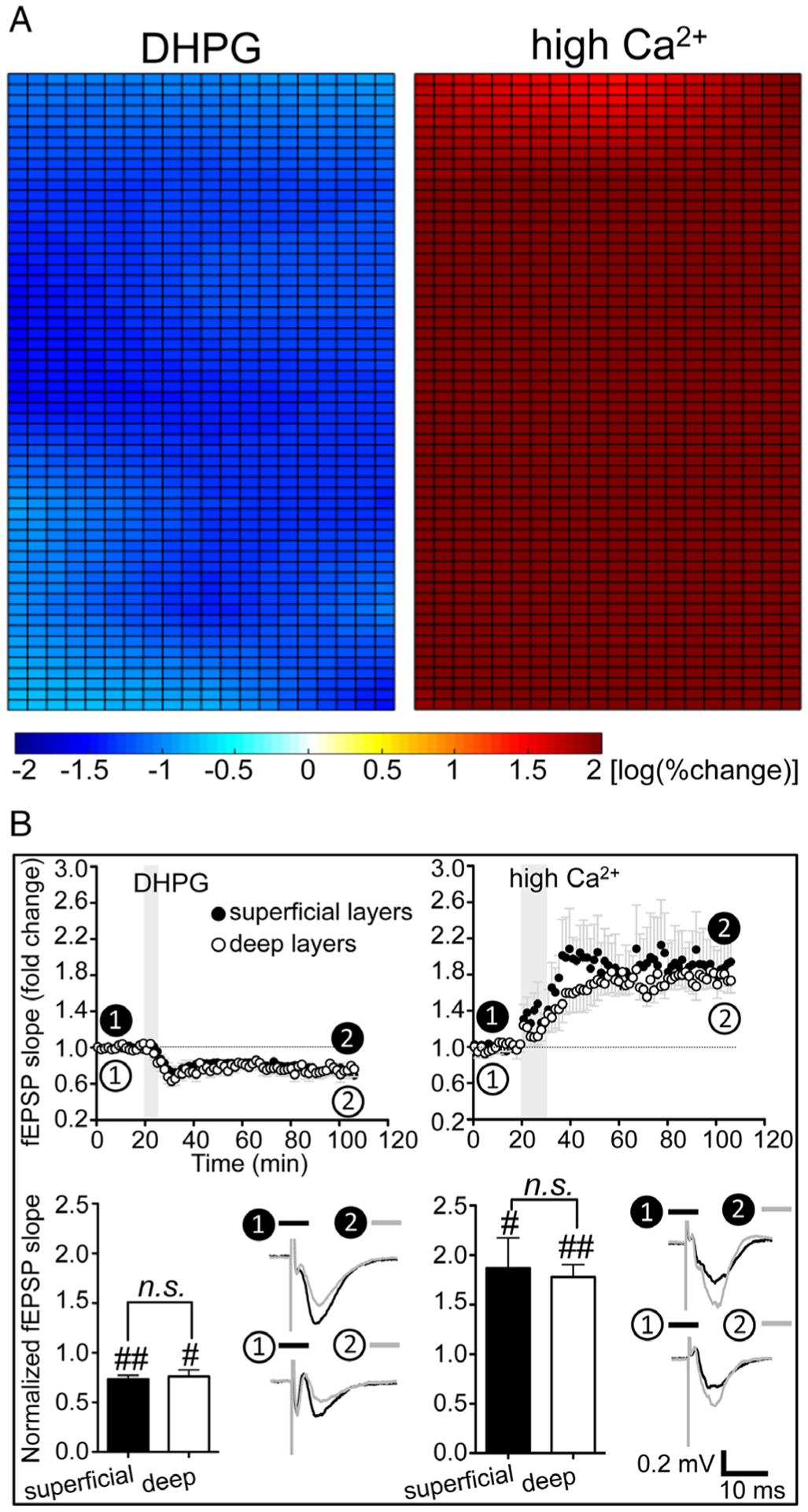 FIGURE 3: