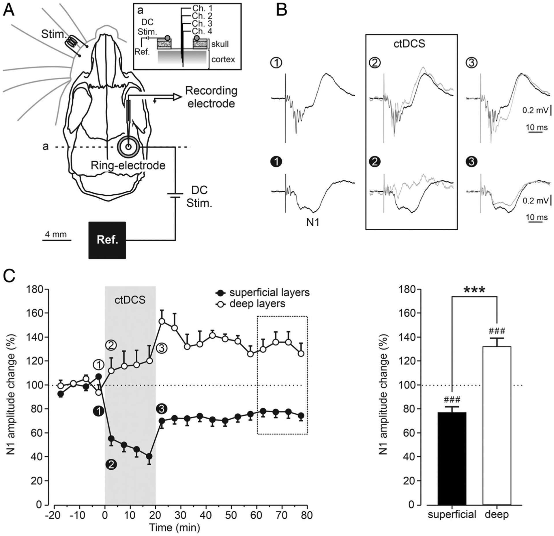 FIGURE 6: