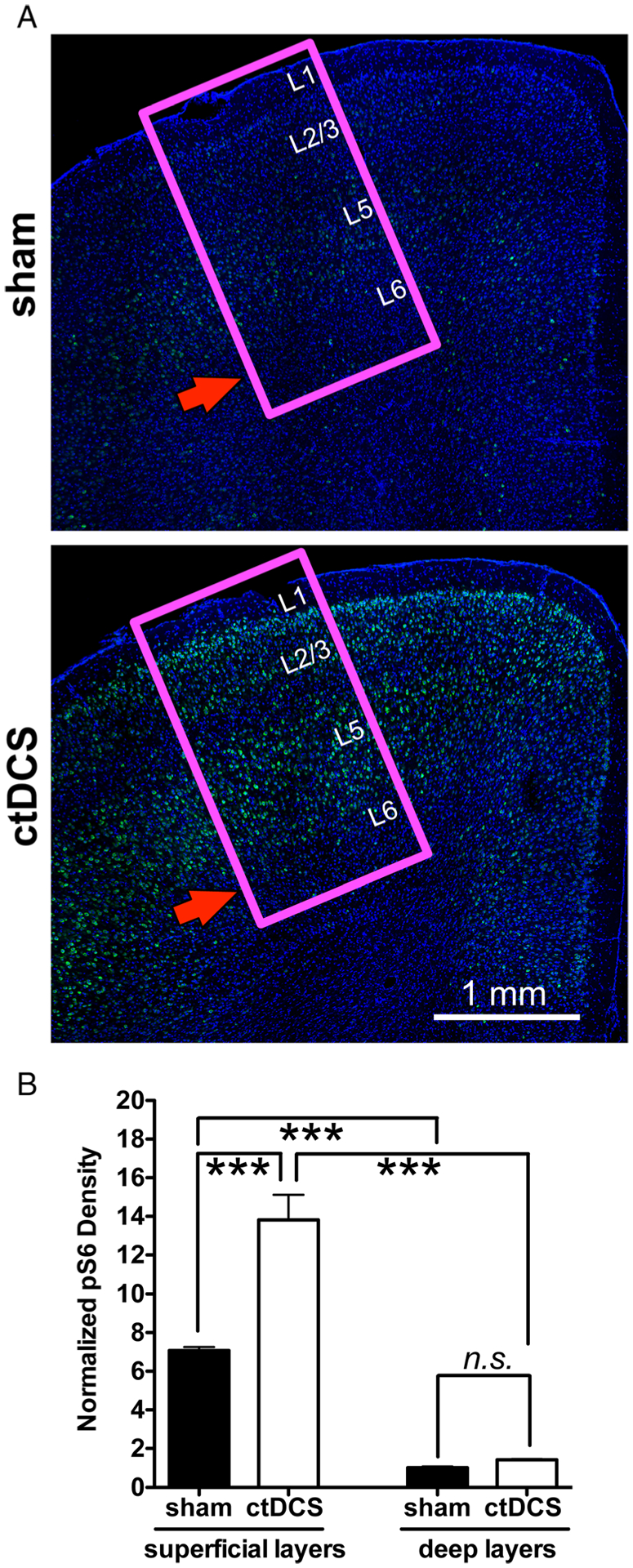 FIGURE 2: