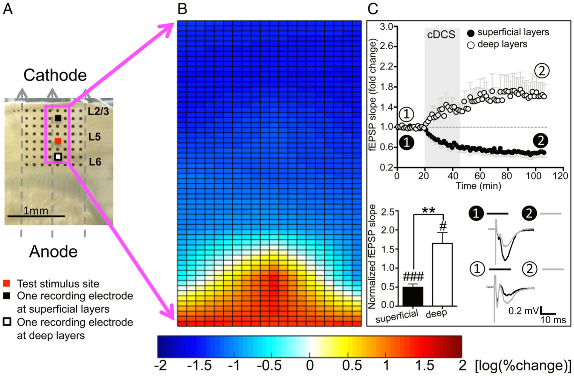 FIGURE 1: