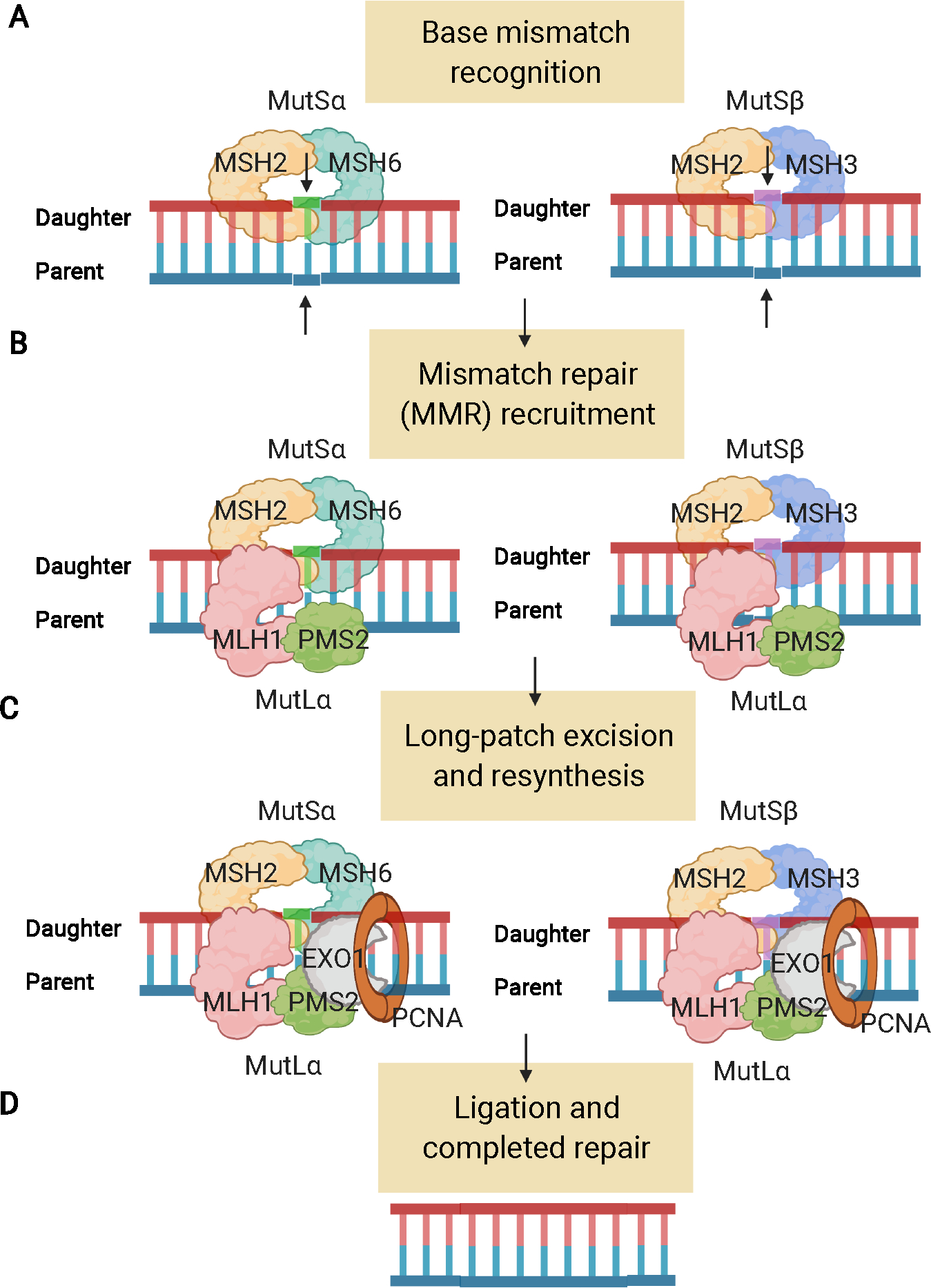 Figure 1: