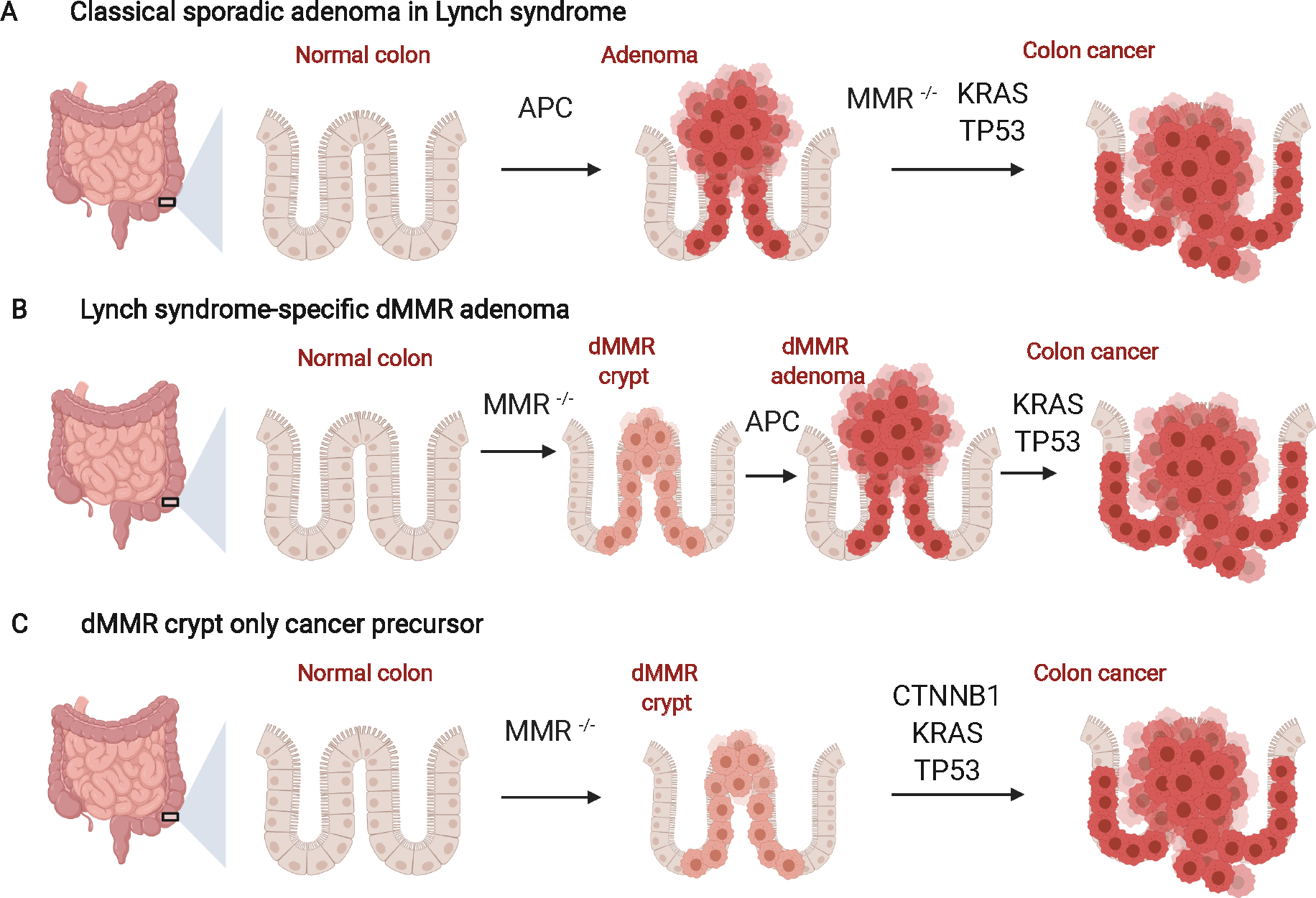 Figure 3: