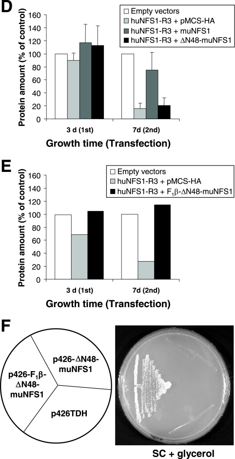 FIG. 5.