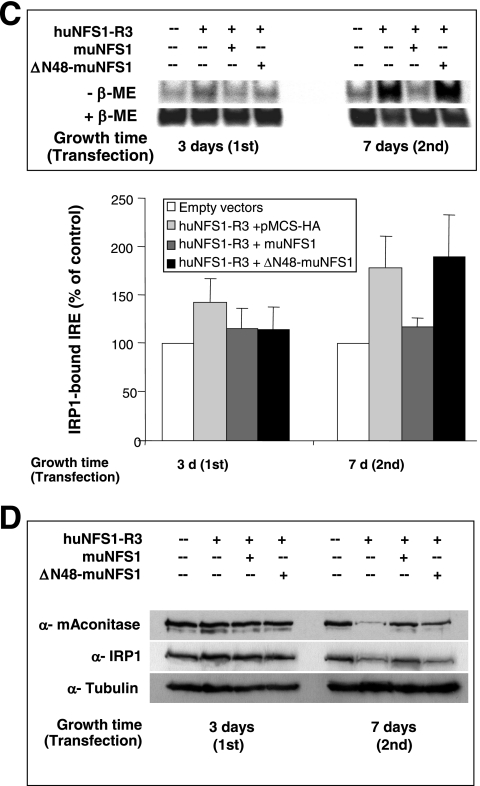 FIG.6.