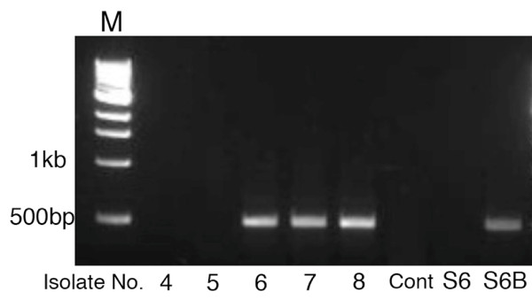 Figure 7