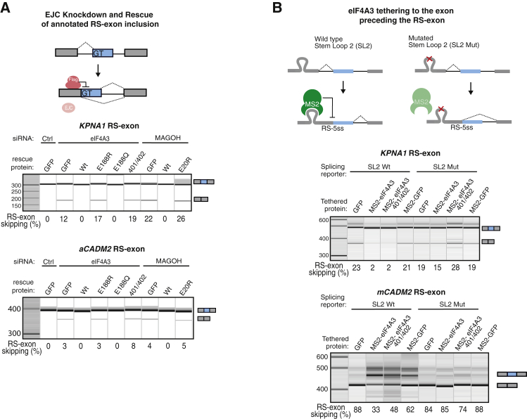 Figure 4