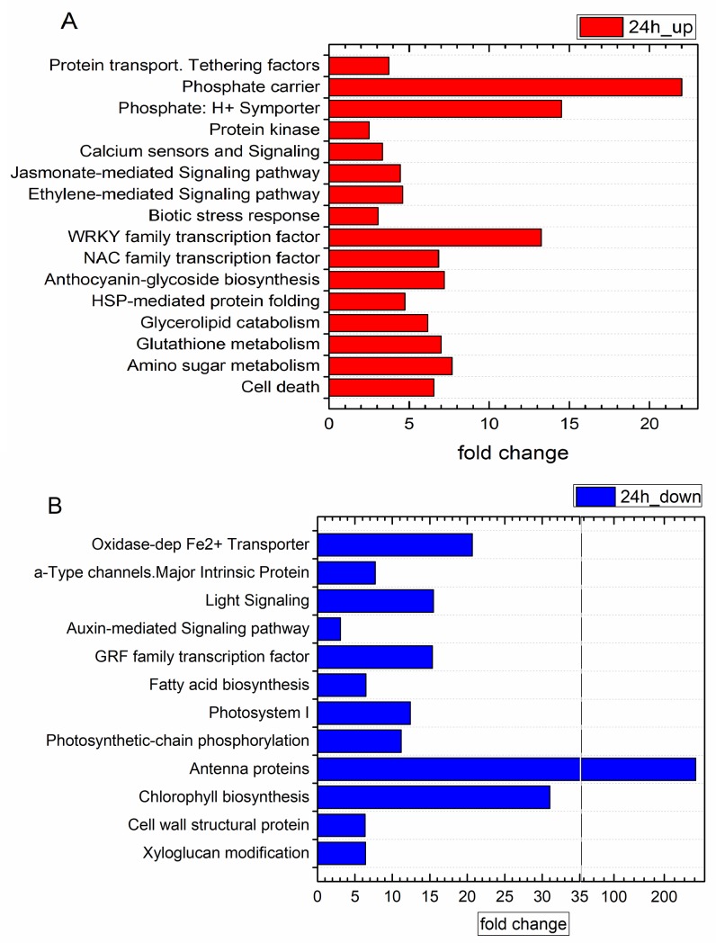 Fig 6