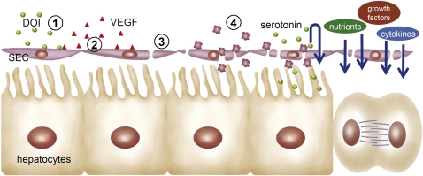 Fig. 5.