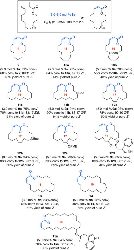 Scheme 2