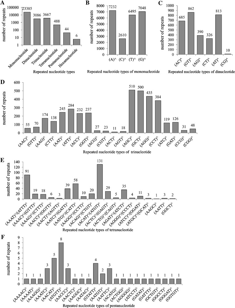 Figure 6