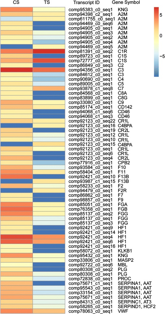 Figure 4