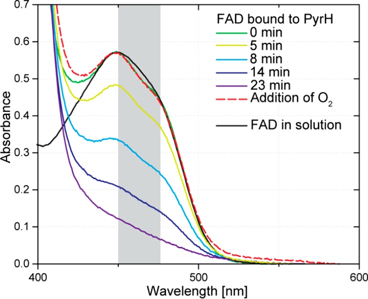 Figure 7