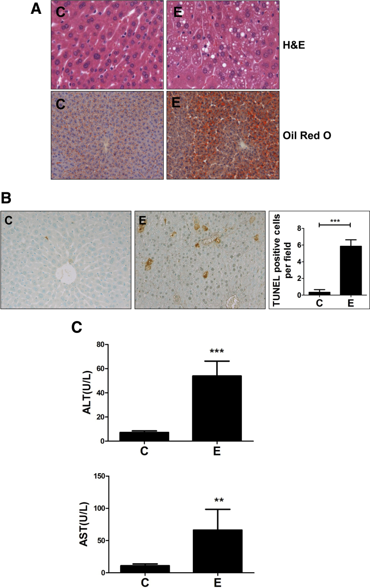 Figure 6