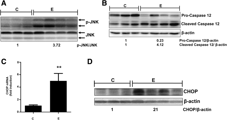 Figure 5