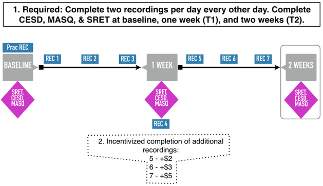 Figure 1: