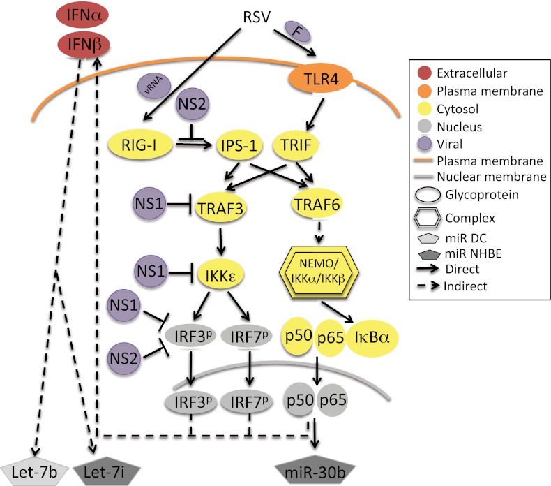 FIG 6 