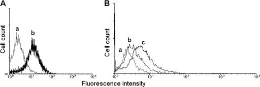 FIG. 2.