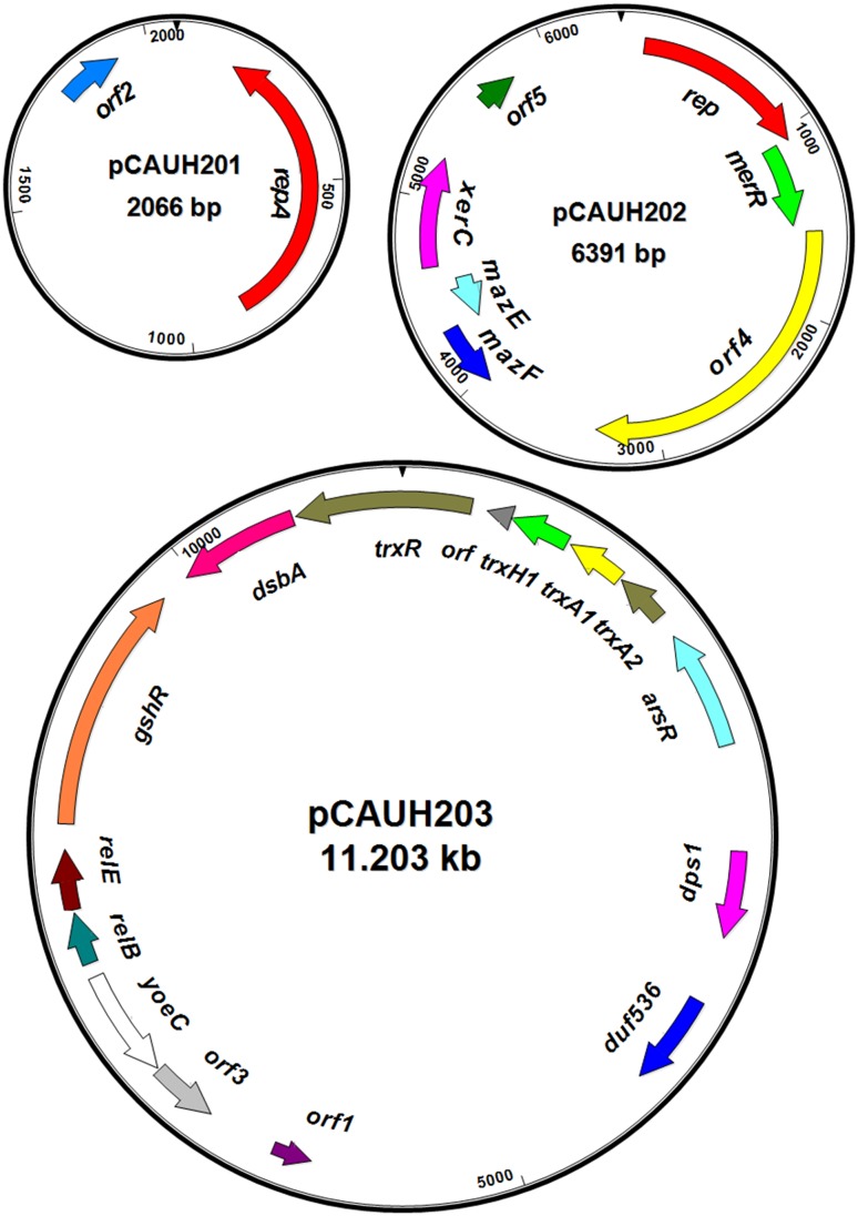 Fig. 2