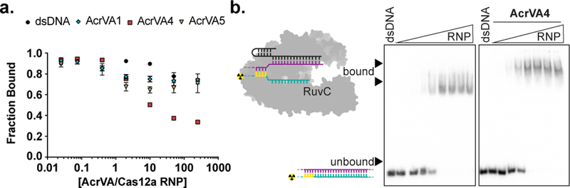 Figure 3 –