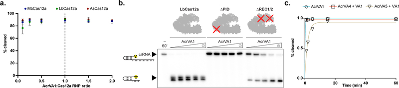 Figure 5 –