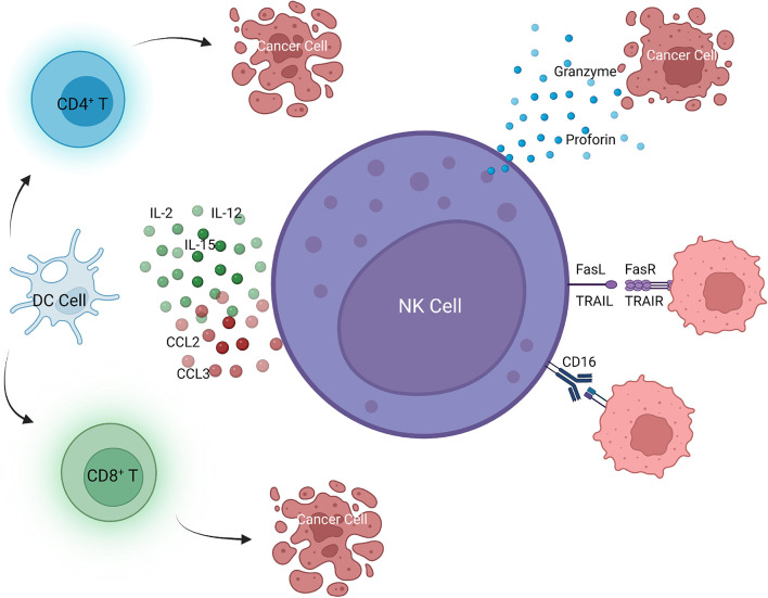 Figure 3