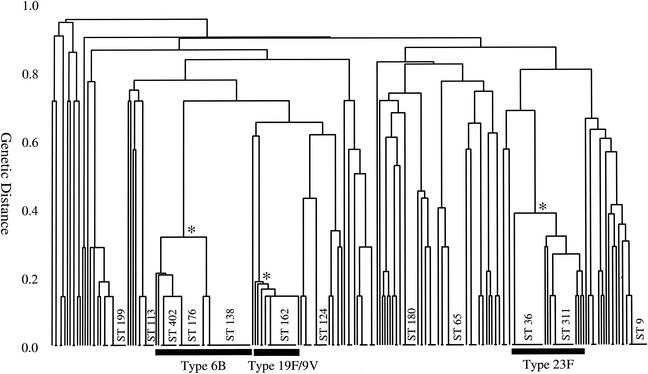 FIG. 1.