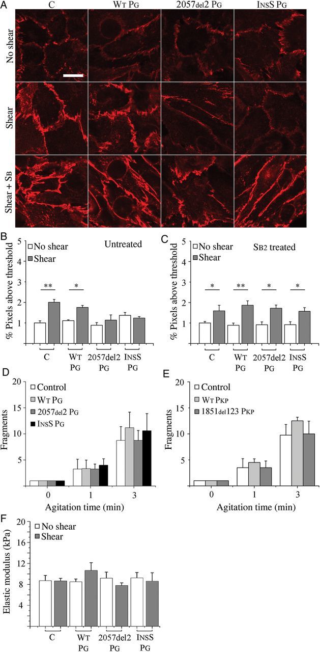 Figure 4