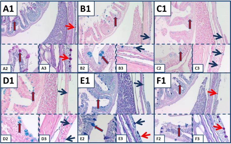 Fig. 3