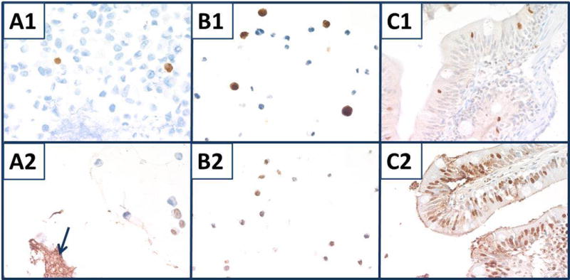 Fig. 10