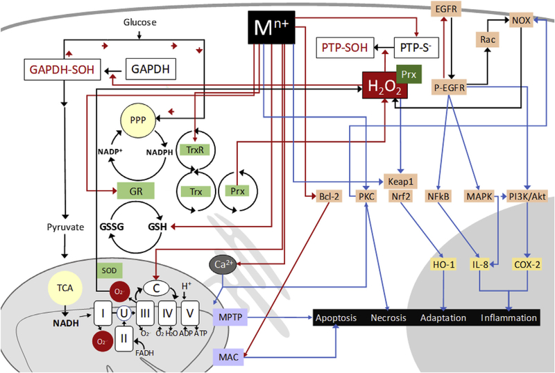 Fig. 1.