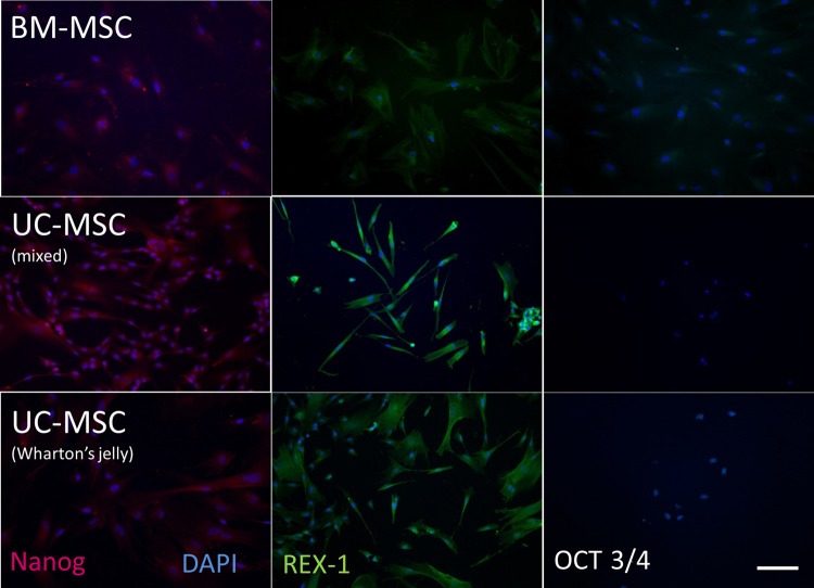 Figure 3.