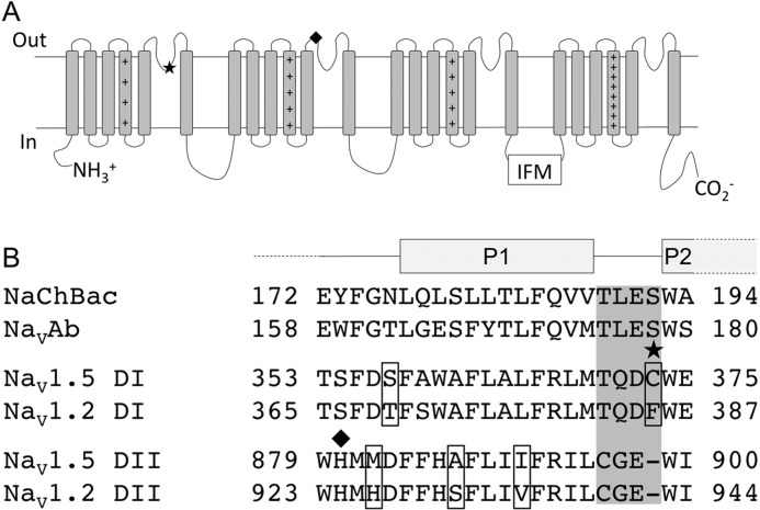 FIGURE 7.