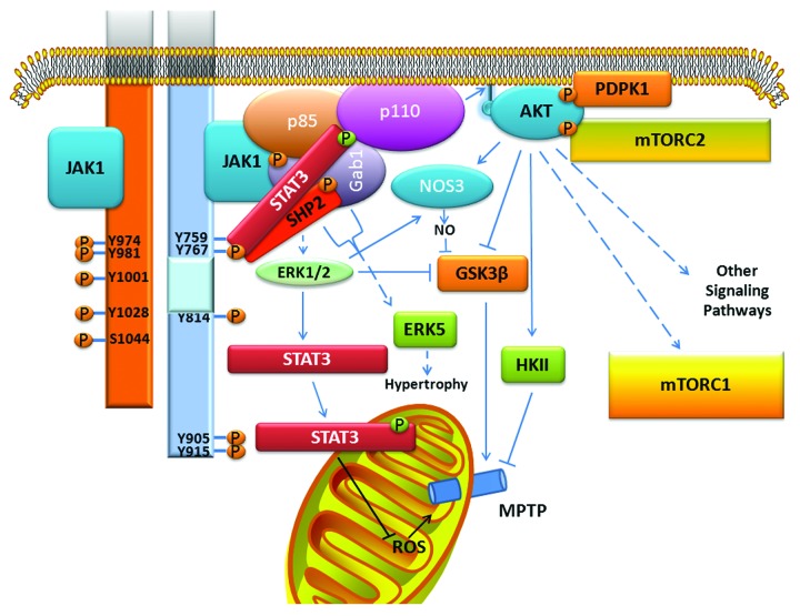 graphic file with name jkst-1-101-g3.jpg