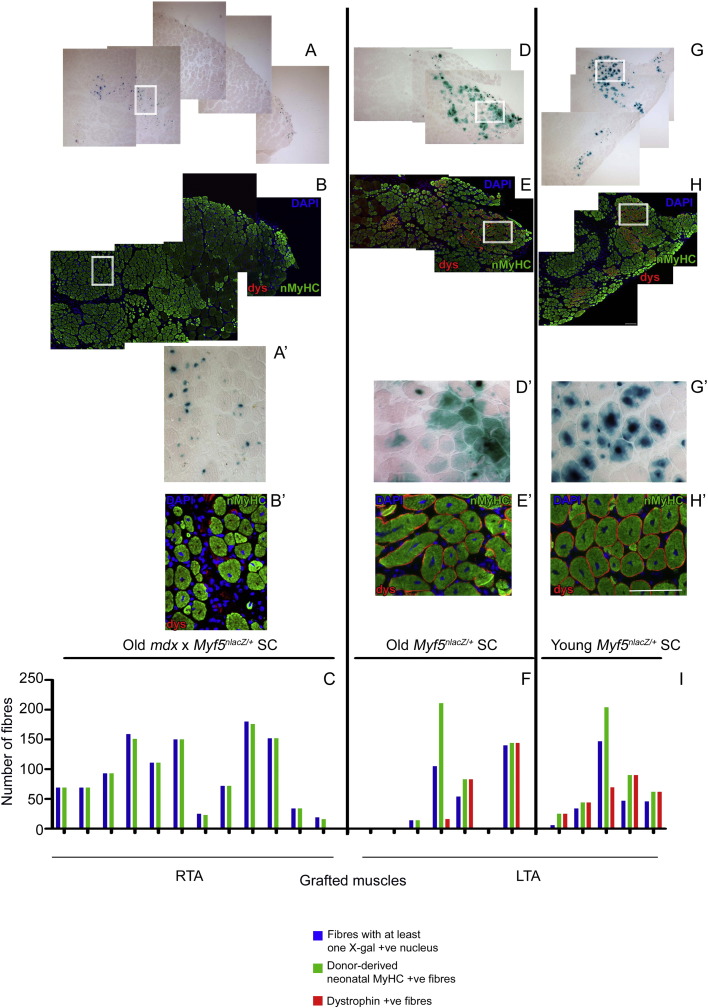 Figure 4