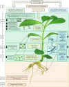 Fig 6