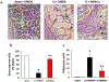 Figure 7: