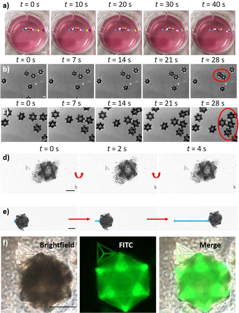 FIG. 3.