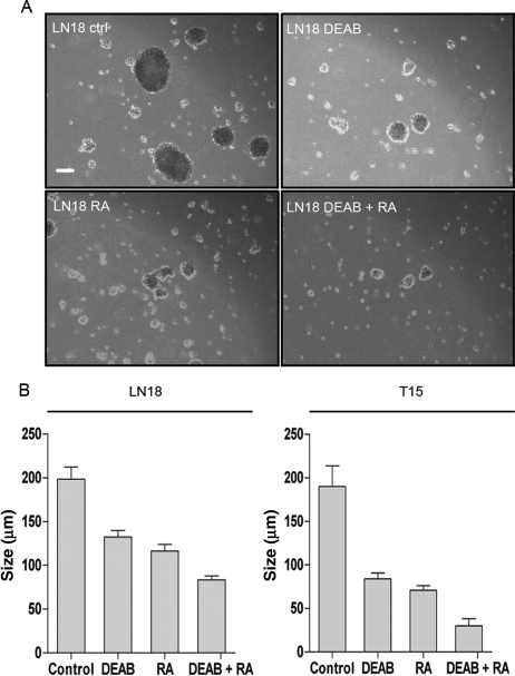 Fig. 3.