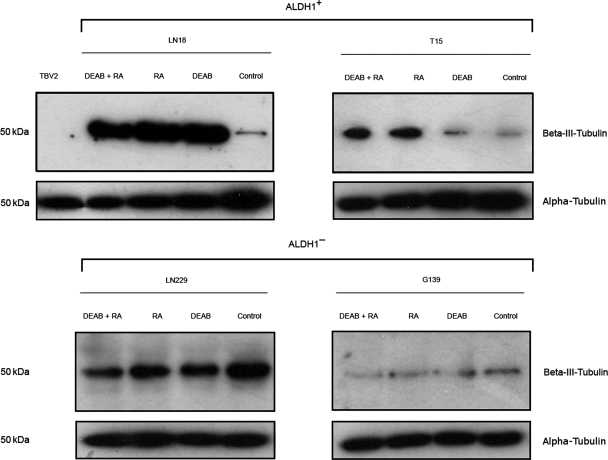 Fig. 4.