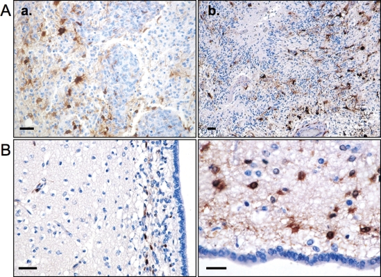 Fig. 6.