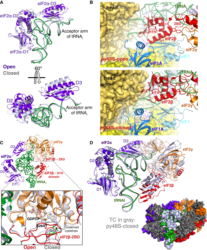 Figure 5