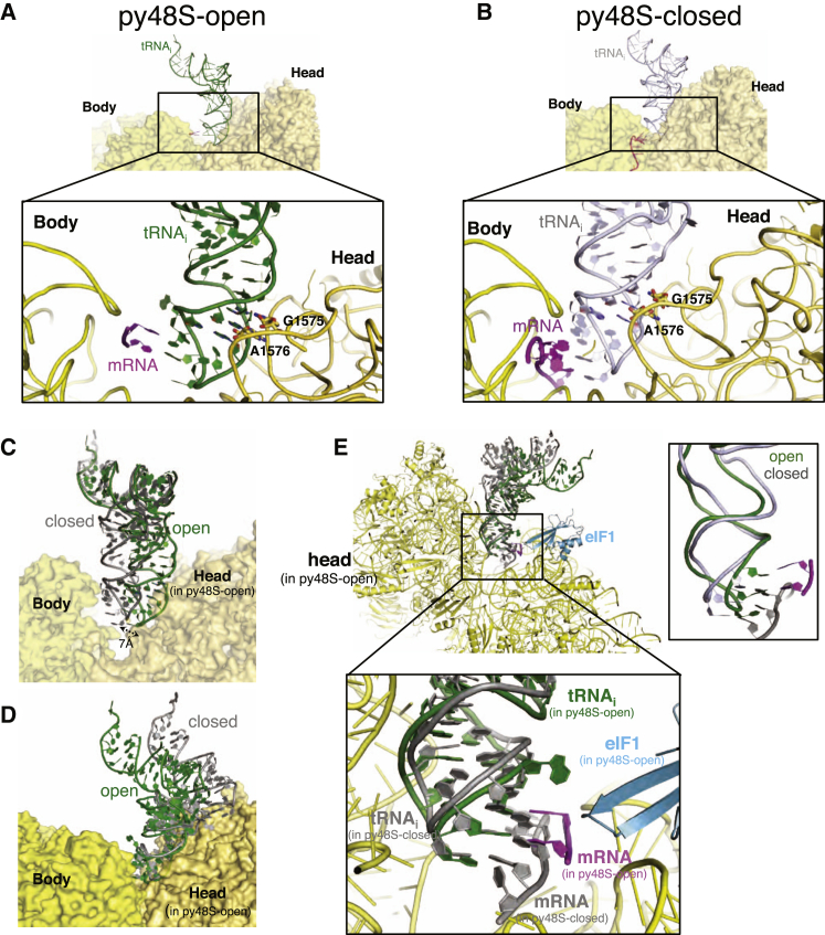 Figure 3