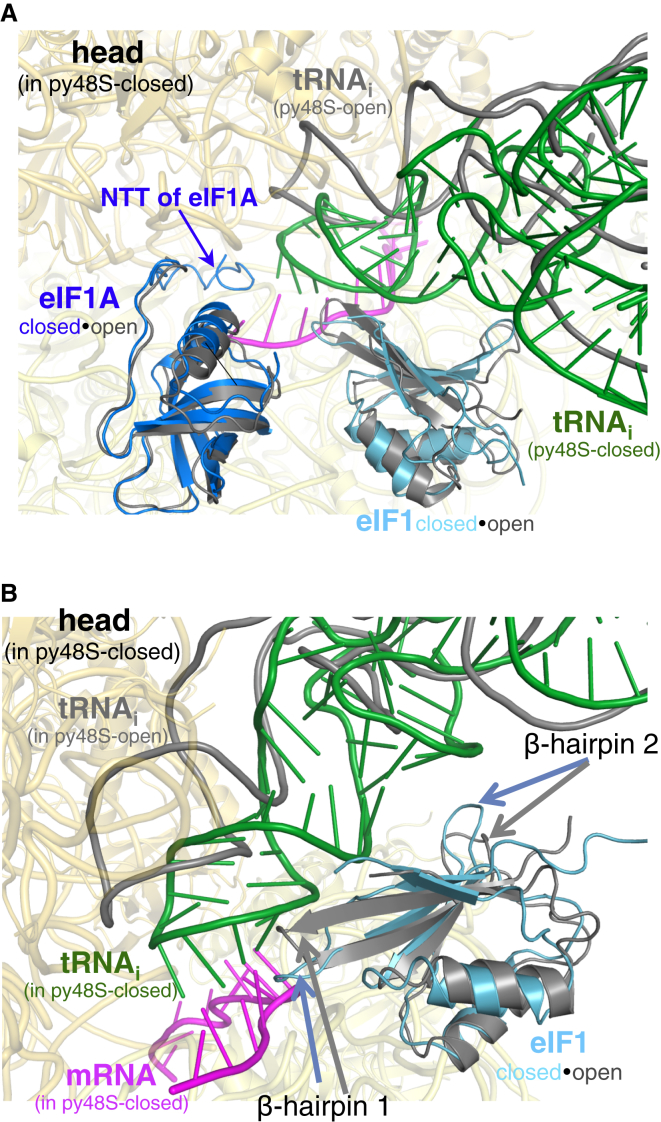 Figure 4