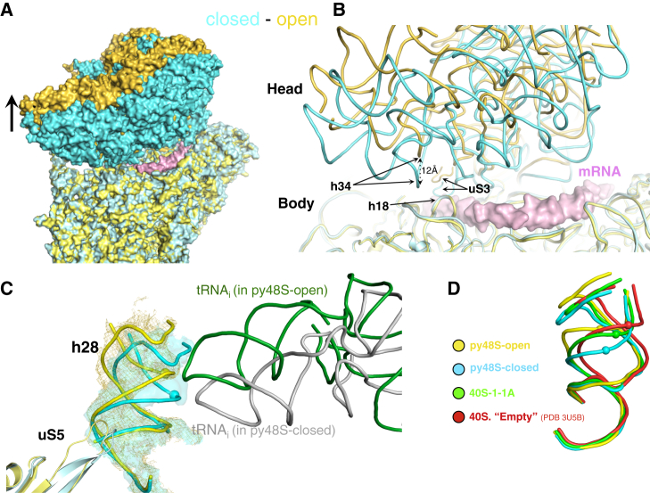 Figure 2