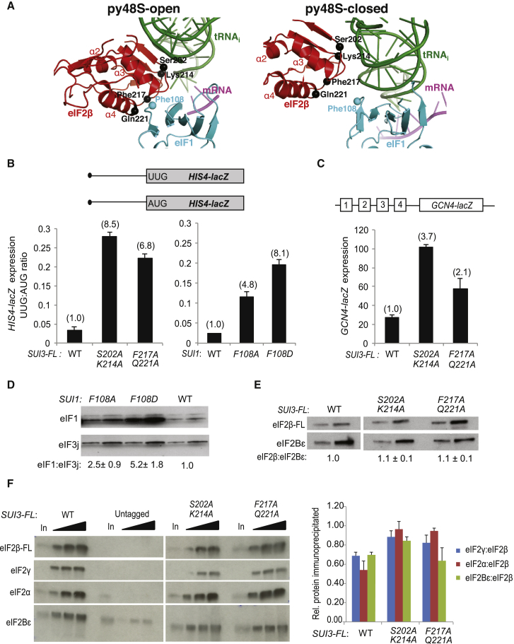 Figure 6