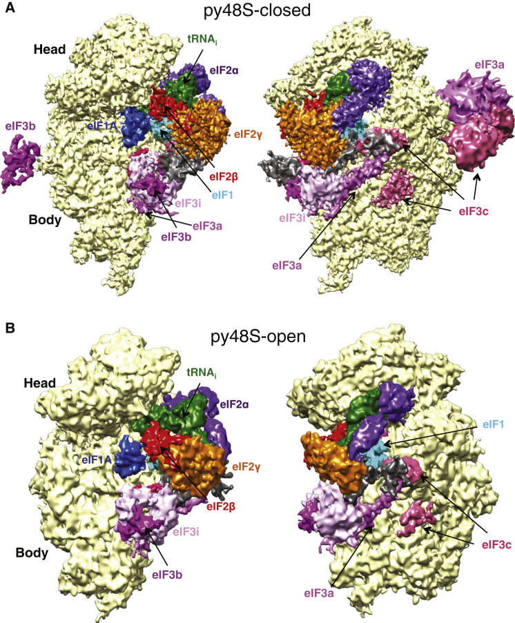 Figure 1