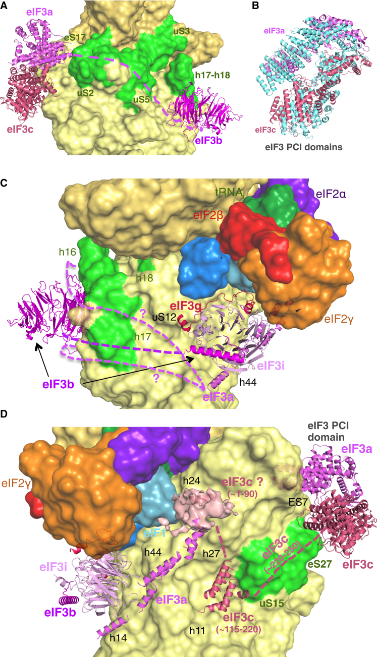 Figure 7