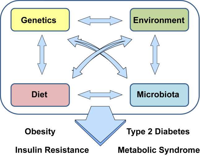 Figure 3