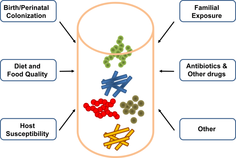 Figure 1